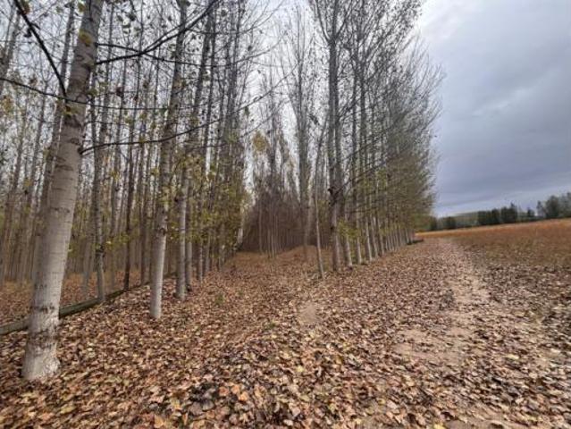 Terreno en venta en Fuente Vaqueros, Granada