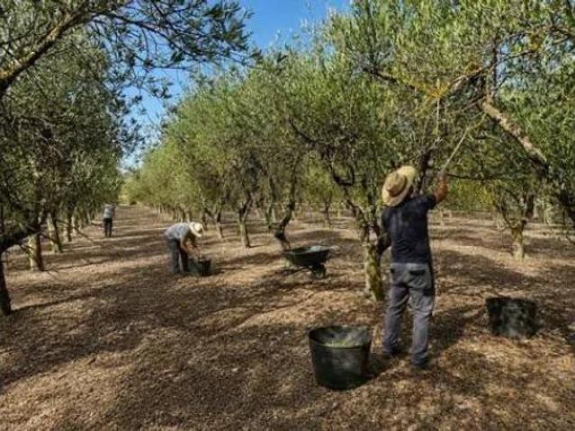 Terreno en venta en Fuentes de Ebro, Zaragoza