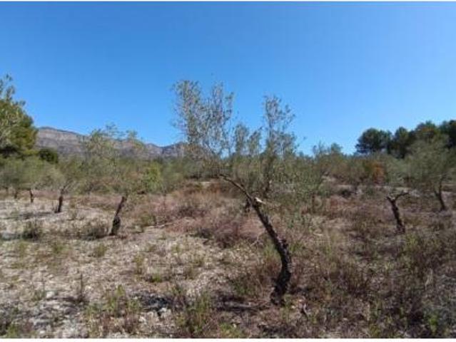 Terreno en venta en Gaianes, Alacant / Alicante