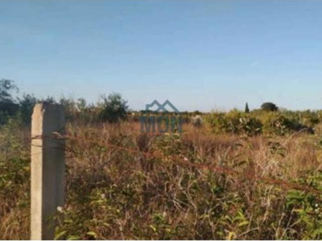 Terreno en venta en Platja, Gandia