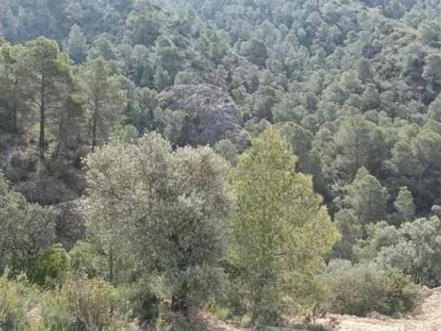 Terreno en venta en Garcia, Tarragona