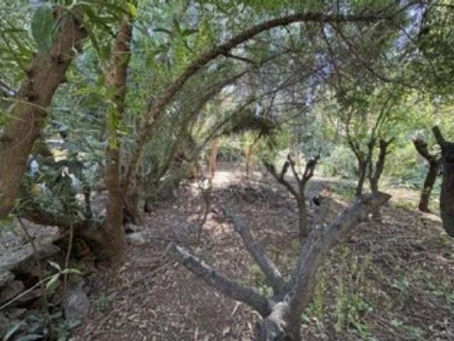 Terreno en venta en Gavà, Barcelona