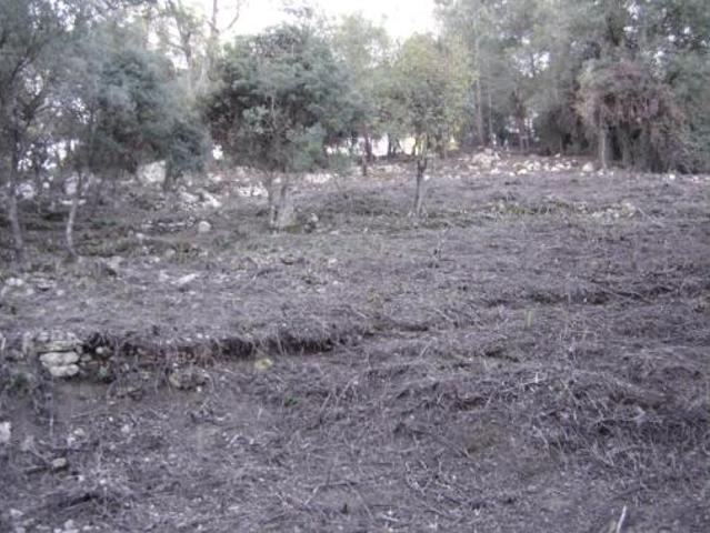 Terreno en venta en Gelida, Barcelona