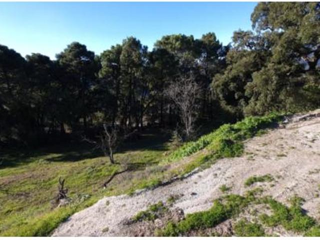Terreno en venta en Genalguacil, Málaga