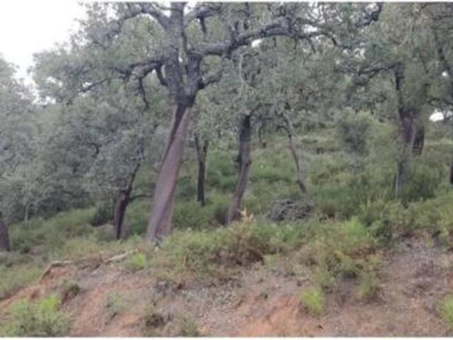 Terreno en venta en Genalguacil, Málaga