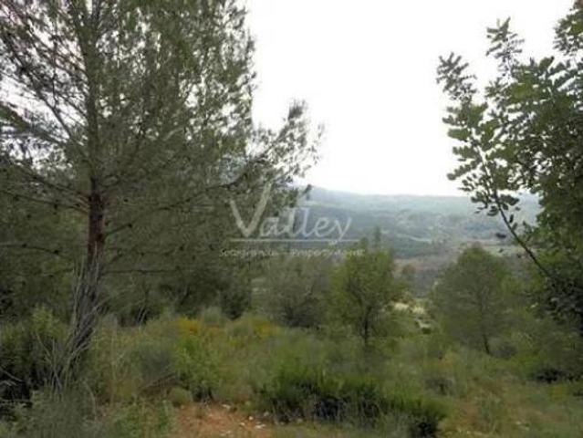 Terreno en venta en Genalguacil, Málaga