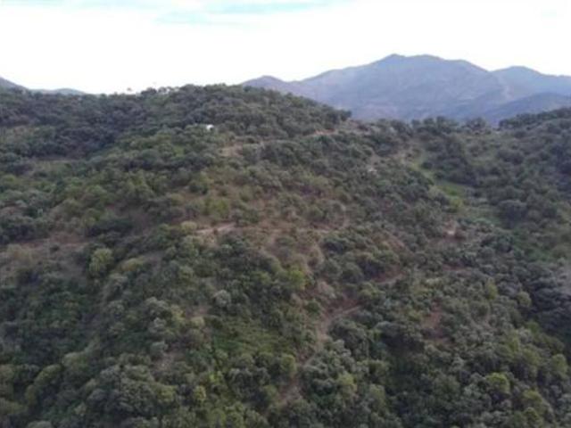 Terreno en venta en Genalguacil, Málaga