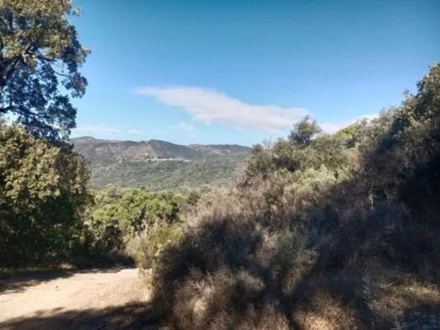 Terreno en venta en Genalguacil, Málaga
