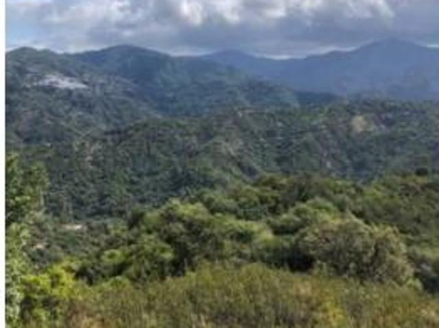 Terreno en venta en Genalguacil, Málaga