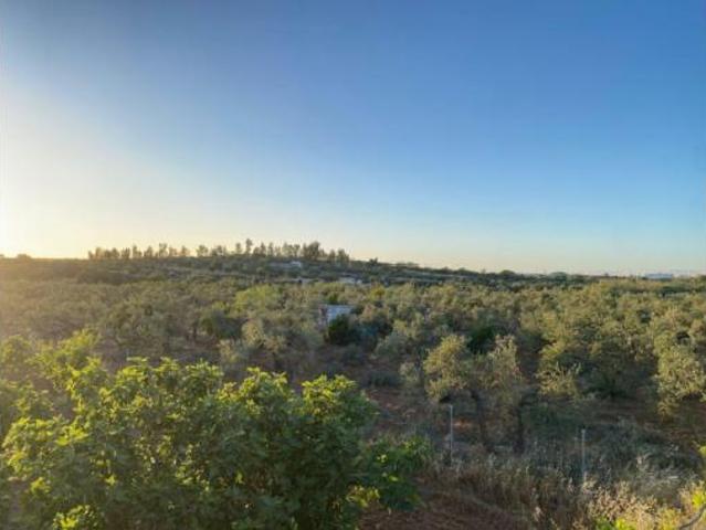 Terreno en venta en Polígono Industrial Servialsa, Gines