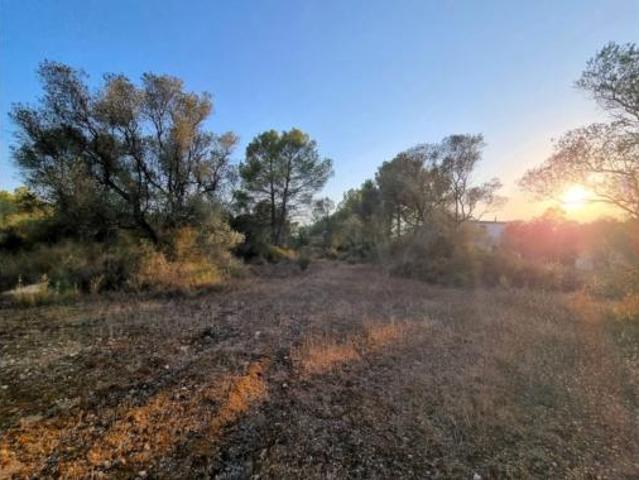 Terreno en venta en Ginestar, Tarragona