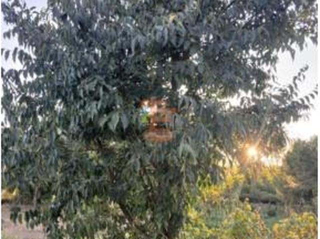 Terreno en venta en Gotor, Zaragoza