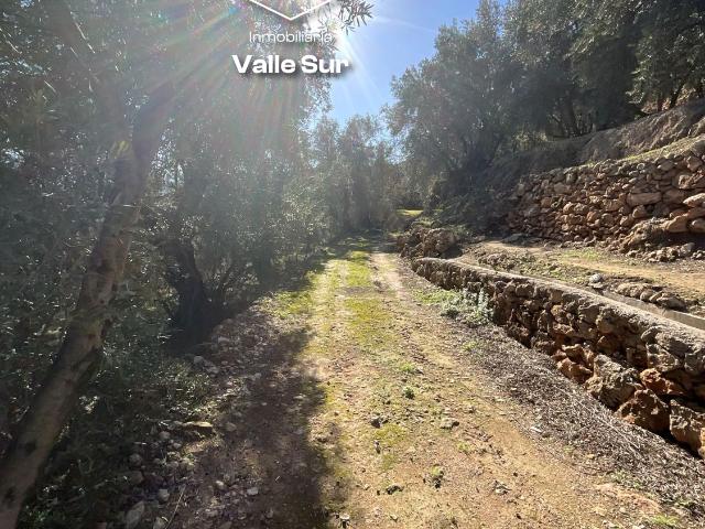 Terreno en venta en Comarca del Valle de Lecrín, Andalucía