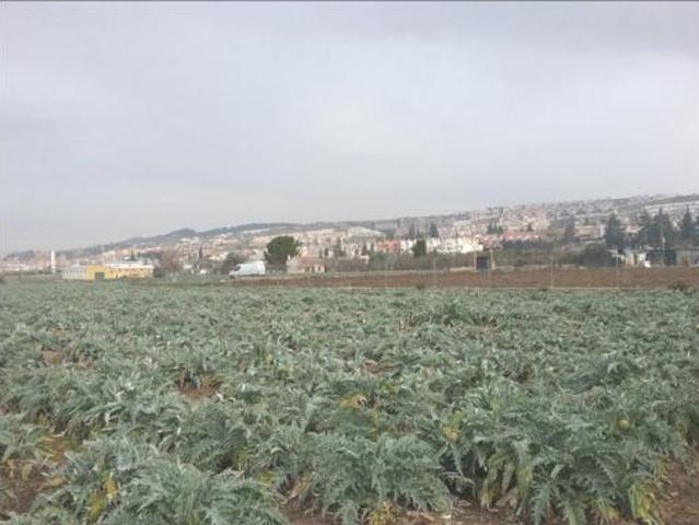 Terreno en venta en Lancha del Genil, Granada