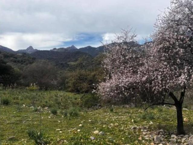 Terreno en venta en Mediodía, Grazalema