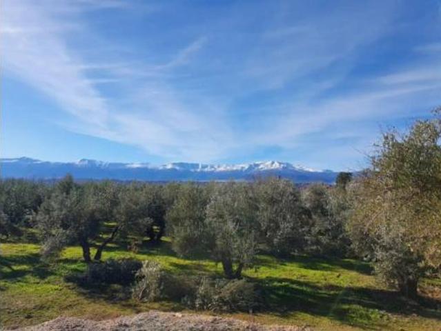 Terreno en venta en Guadix, Granada
