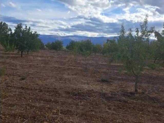 Terreno en venta en Iglesia de Nuestra Señora Gracia, Guadix
