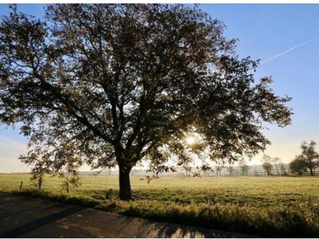 Terreno en venta en Guijuelo, Salamanca