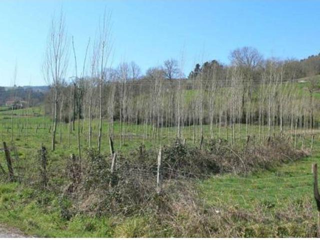 Terreno en venta en Asón, Soba