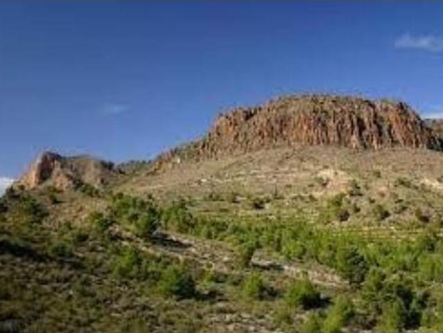 Terreno en venta en Cancarix, Hellín