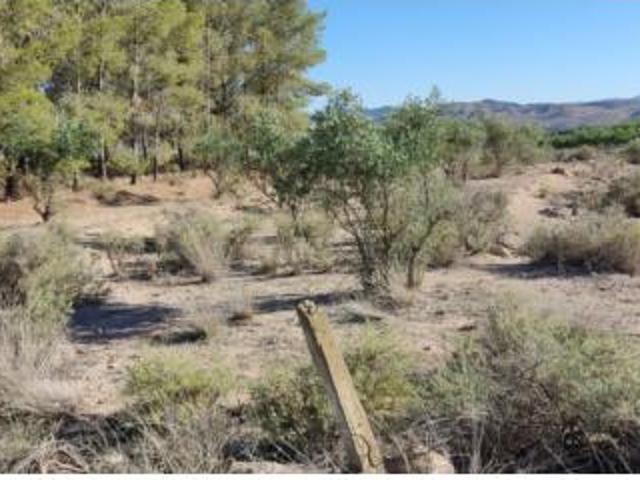 Terreno en venta en Isso, Hellín