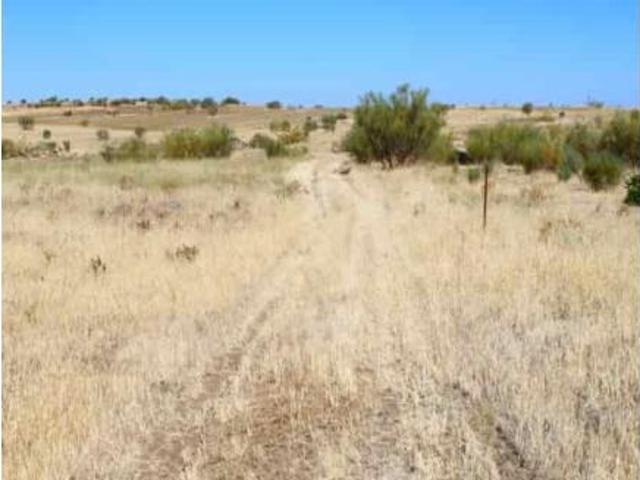 Terreno en venta en Higuera de Llerena, Badajoz