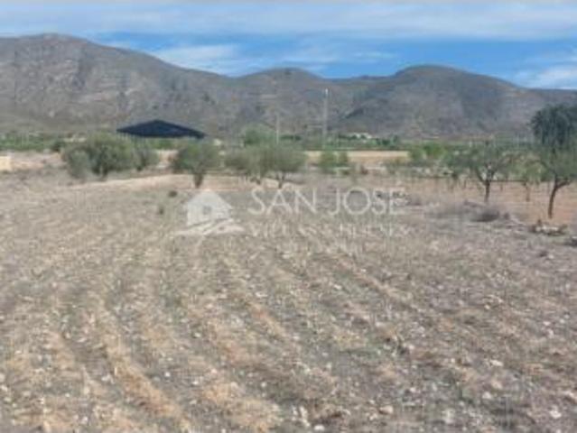 Terreno en venta en Hondón de los Frailes, Alacant / Alicante