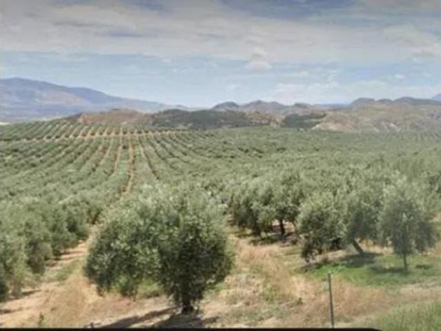 Terreno en venta en Hoya-Gonzalo, Albacete