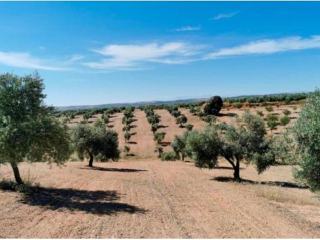 Terreno en venta en Huelma, Jaén