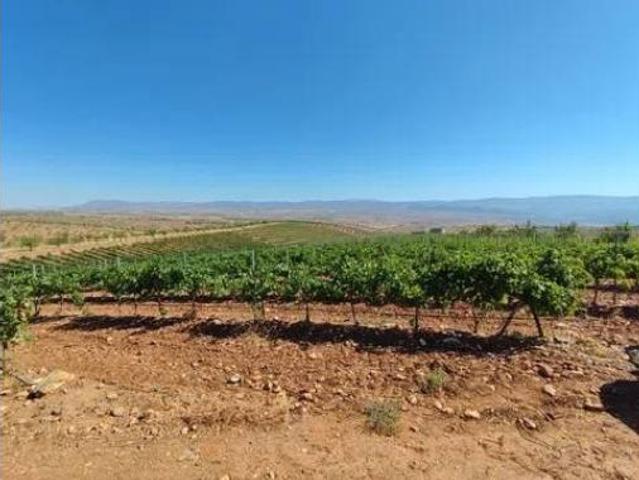 Terreno en venta en Huéneja, Granada