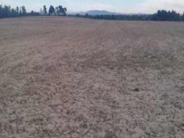 Terreno en venta en Quintanarraya, Huerta de Rey