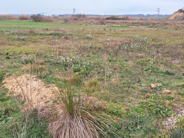 Terreno en venta en Huesca/Uesca, Hoya de Huesca / Plana de Uesca