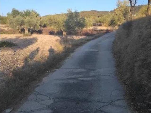 Terreno en venta en Polígono Industrial L'Alfac, Ibi