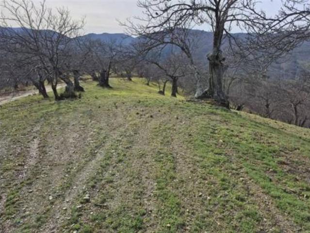 Terreno en venta en Igualeja, Málaga