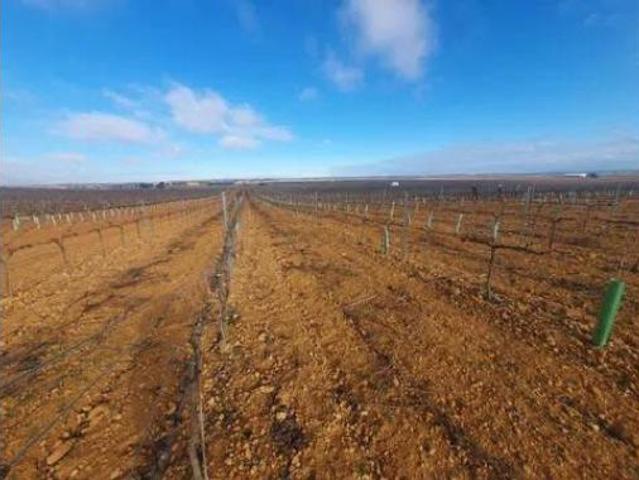 Terreno en venta en Iniesta, Cuenca