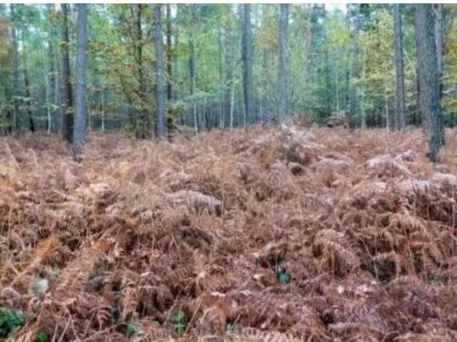 Terreno en venta en Oiartzun, Gipuzkoa