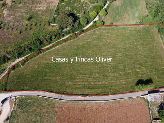 Terreno en venta en Llubí Terreno en venta en Llubí