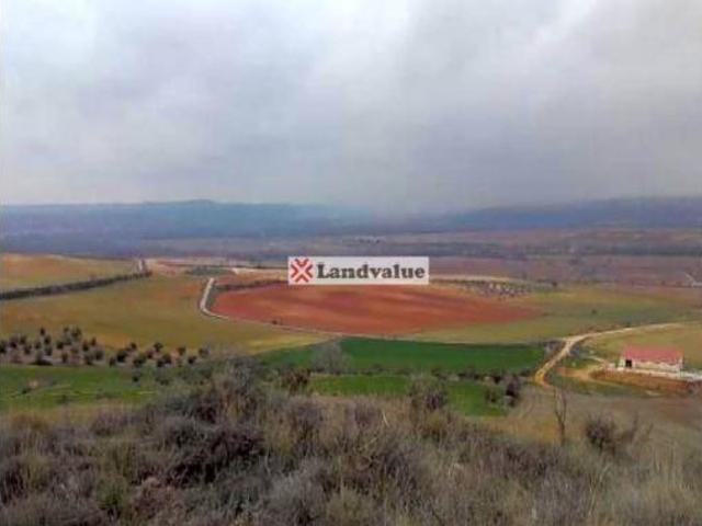Terreno en venta en Los Arenales, Jadraque
