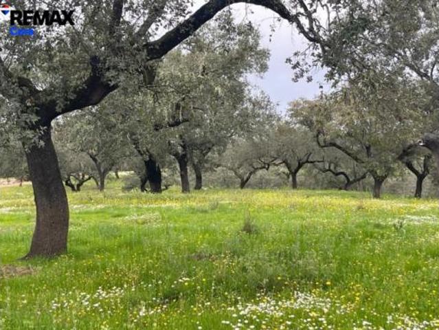 Terreno en venta en Barrio de los Avariegos, Valle de Santa Ana