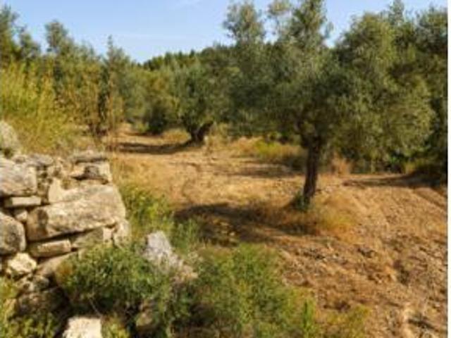 Terreno en venta en Jérica, Castelló / Castellón