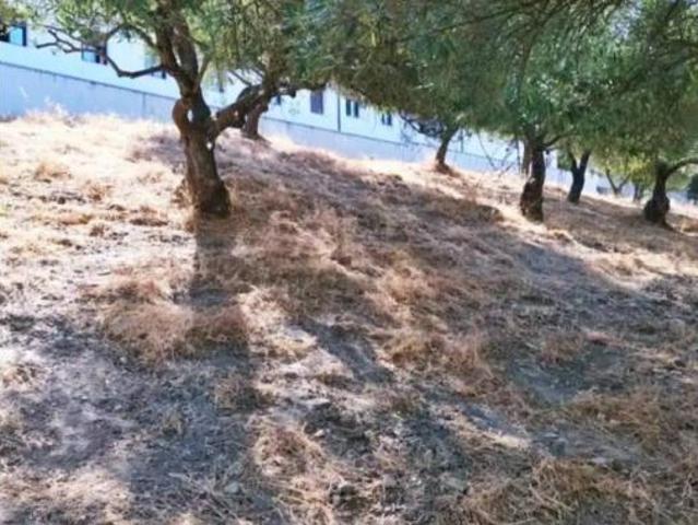Terreno en venta en Jimera de Líbar, Málaga