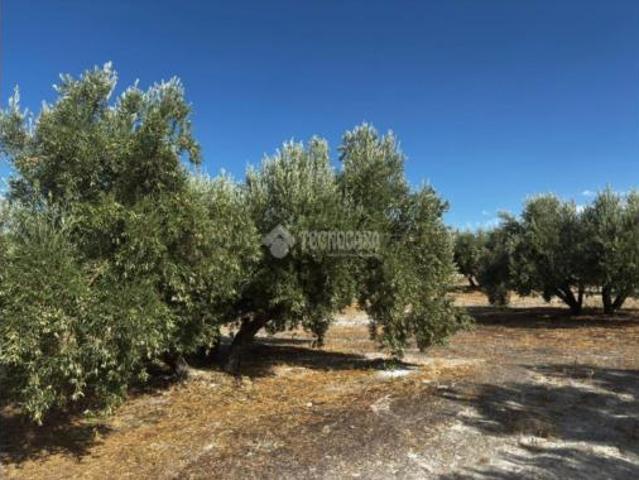 Terreno en venta en Jódar, Jaén