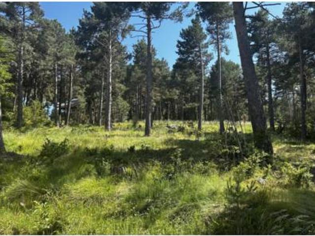 Terreno en venta en la Coma i la Pedra, Lleida