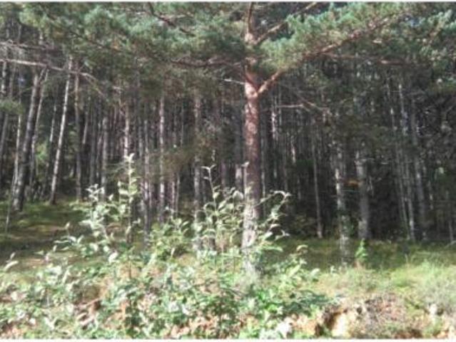 Terreno en venta en la Coma i la Pedra, Lleida