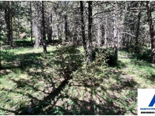 Terreno en venta en Port del Comte, la Coma i la Pedra