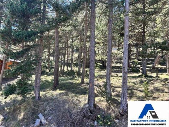 Terreno en venta en Port del Comte, la Coma i la Pedra