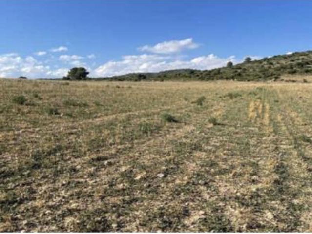 Terreno en venta en La Ginebrosa / la Ginebrosa, Teruel