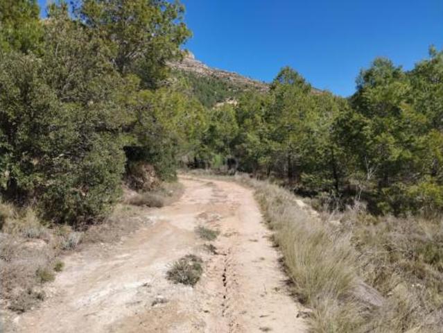 Terreno en venta en la Morera de Montsant, Tarragona