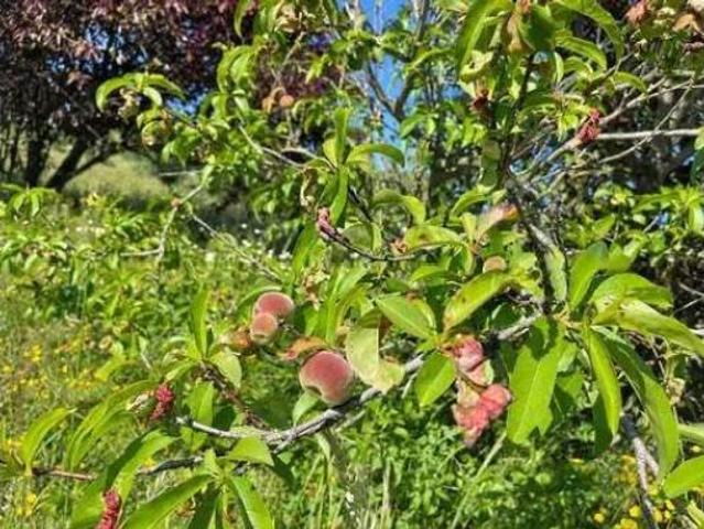 Terreno en venta en Parque Empresarial Dehesa Boyal, La Palma del Condado