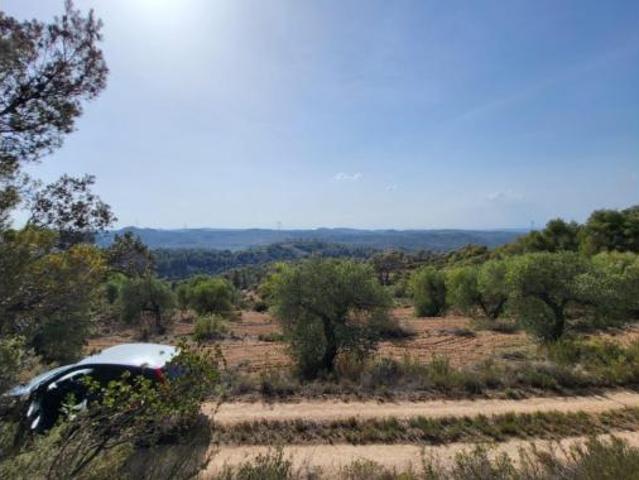 Terreno en venta en la Pobla de Cérvoles, Lleida